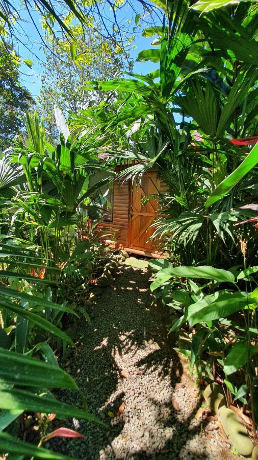 Arenal Rustic Lodge Alajuela Bagian luar foto