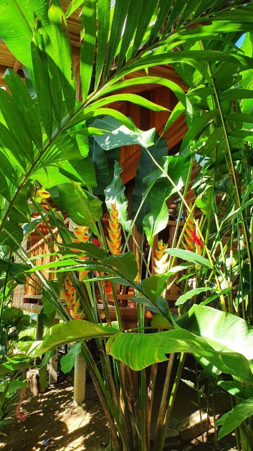 Arenal Rustic Lodge Alajuela Bagian luar foto