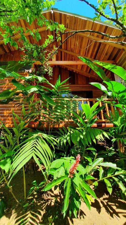 Arenal Rustic Lodge Alajuela Bagian luar foto
